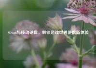 Steam与移动硬盘，解锁游戏世界便携新体验
