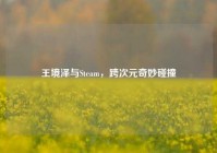 王境泽与Steam，跨次元奇妙碰撞