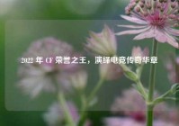 2022 年 CF 荣誉之王，演绎电竞传奇华章