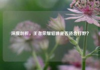 深度剖析，王者荣耀貂蝉是否适合打野？