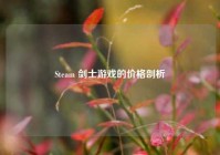 Steam 剑士游戏的价格剖析