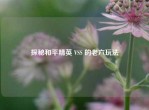 探秘和平精英 VSS 的老六玩法