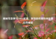 揭秘龙息弹与COD16配置，探寻游戏独特体验背后的秘密