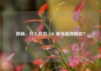 探秘，什么样的 LOL 账号值得购买？