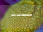 探秘LOL自走棋最强阵型
