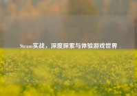 Steam实战，深度探索与体验游戏世界