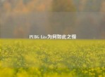 PUBG Lite为何如此之慢