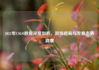 2021年CSGO数据深度剖析，游戏格局与发展态势洞察