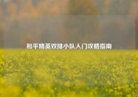 和平精英双排小队入门攻略指南