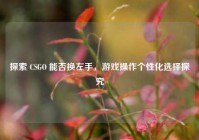 探索 CSGO 能否换左手，游戏操作个性化选择探究