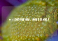 PUBG换枪操作秘籍，按哪个键换枪？