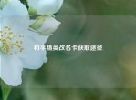 和平精英改名卡获取途径