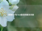探秘VPN与CSGO背后的复杂关联