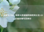 CF 白鲨与 PDD，穿越火线领域的别样风云及 CFCop 白鲨好用与否探讨