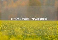 PUBG秒人小钢炮，战场制霸神器