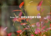 Steam APP，游戏玩家的数字宝库