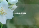 CF 名称为何被改