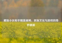 藏族小伙和平精英视频，民族文化与游戏的奇妙邂逅