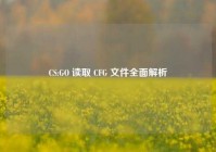 CS:GO 读取 CFG 文件全面解析