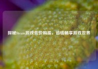 探秘Steam游戏低价购渠，省钱畅享游戏世界