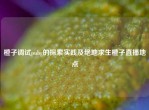 橙子调试pubg的探索实践及绝地求生橙子直播地点