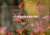 PUBG画面鲜艳设置全攻略