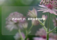 逆战运行 TP，游戏安全守护者