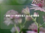 探秘 CSGO 神秘彩蛋之 Mcsgo 彩蛋喷漆