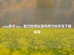pubg助手App，助力吃鸡玩家的得力伙伴及下载指南