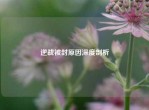 逆战被封原因深度剖析