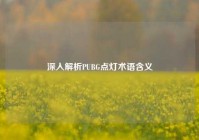深入解析PUBG点灯术语含义