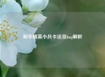 和平精英小兵卡法及bug解析