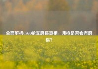 全面解析CSGO枪支磨损真相，用枪是否会有磨损？