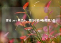 探秘 CSGO 幸运分，游戏中的神秘隐藏力量