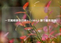 一文揭晓使命召唤16（COD16）哪个服务器快