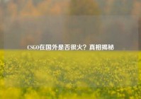 CSGO在国外是否很火？真相揭秘