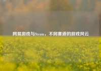 网易游戏与Steam，不同赛道的游戏风云