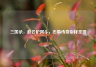 三国杀，赵云护阿斗，忠勇传奇别样呈现