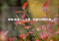 探秘1美金Steam充值，机遇与风险共舞