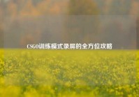 CSGO训练模式录屏的全方位攻略
