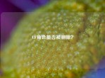 CF角色能否被删除？