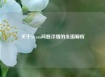 关于Steam问题详情的全面解析