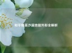 和平精英沙漠地图外形全解析