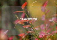 PUBG购物全攻略