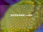 轻松获取电脑版Steam网址