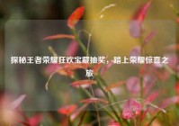 探秘王者荣耀狂欢宝藏抽奖，踏上荣耀惊喜之旅