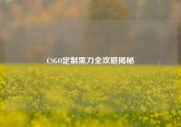 CSGO定制黑刀全攻略揭秘