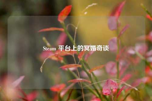 Steam 平台上的冥婚奇谈