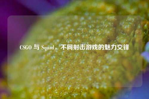 CSGO 与 Squad,不同射击游戏的魅力交锋