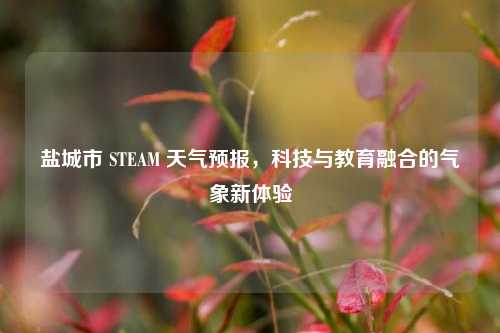 盐城市 STEAM 天气预报,科技与教育融合的气象新体验